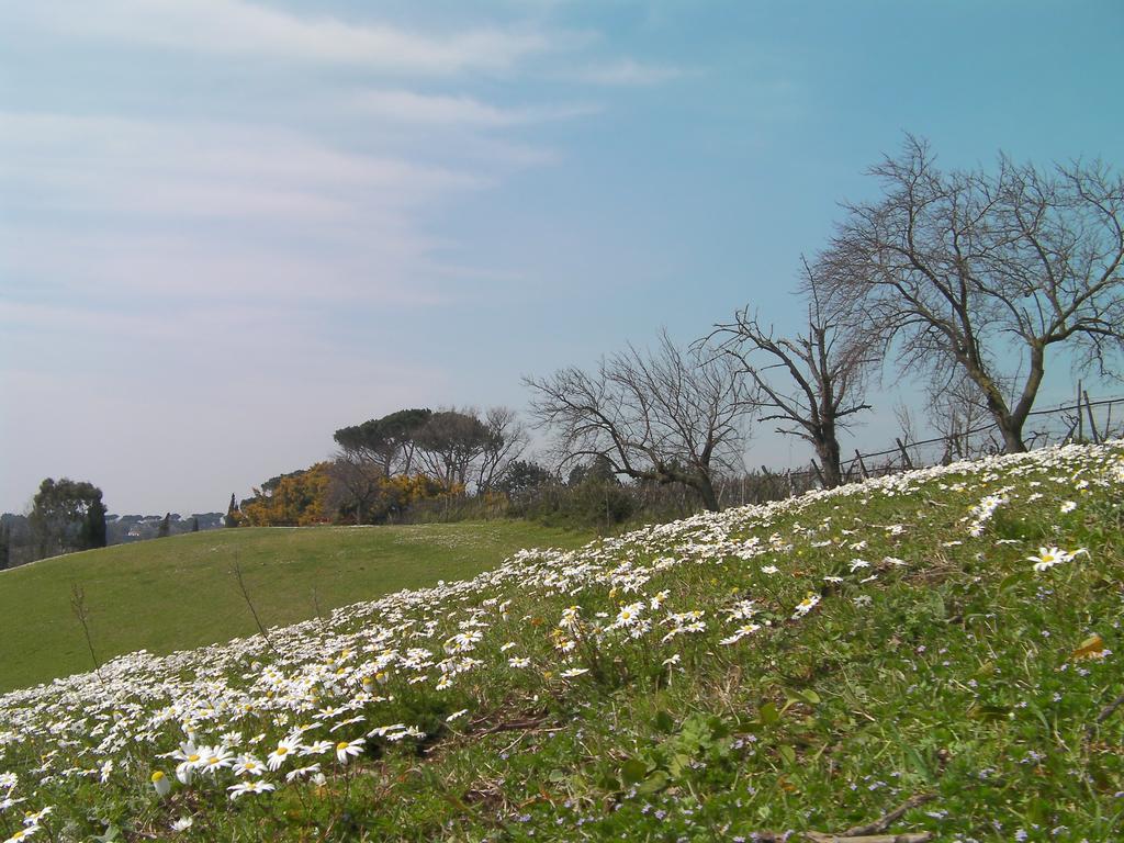 切尔韦泰里Casale Del Tiglio住宿加早餐旅馆 客房 照片